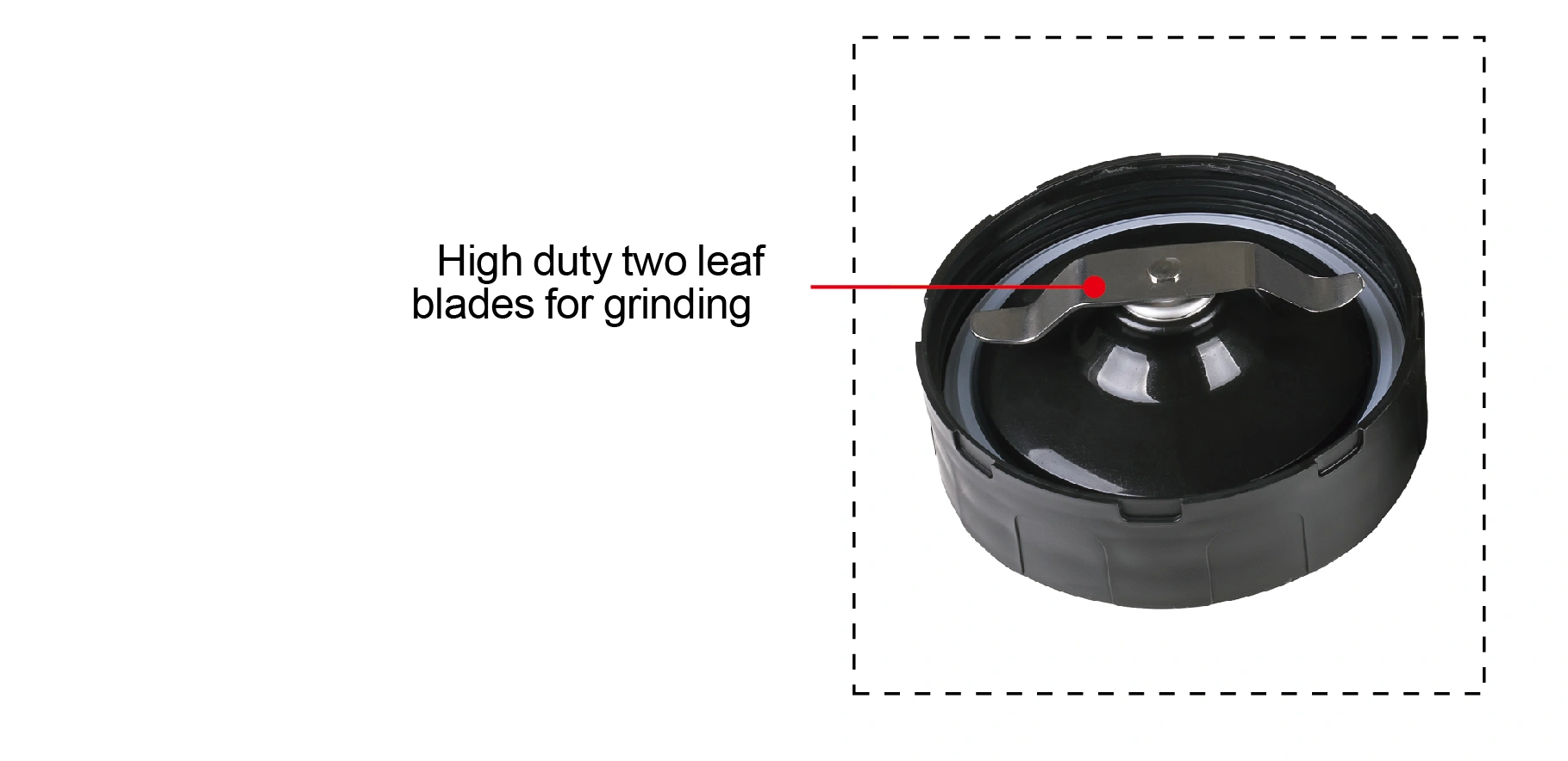 Juicer BL-101T — Kitchen Appliances OEM & ODM manufacturer