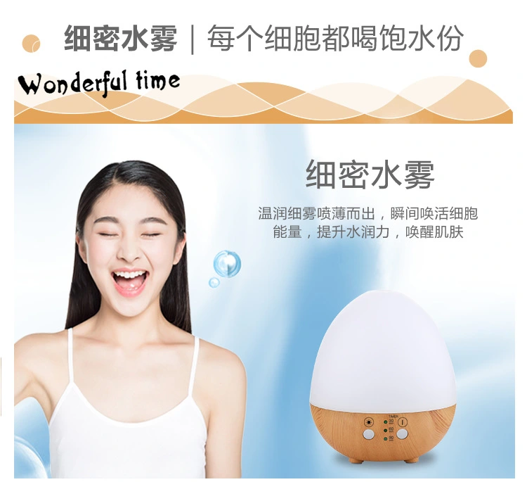Aroma Diffuser ZW-221 — Environmental Appliances OEM & ODM manufacturer