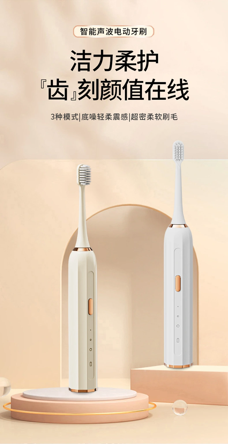 Electric Toothbrush R-D33 — Oral Care OEM & ODM manufacturer