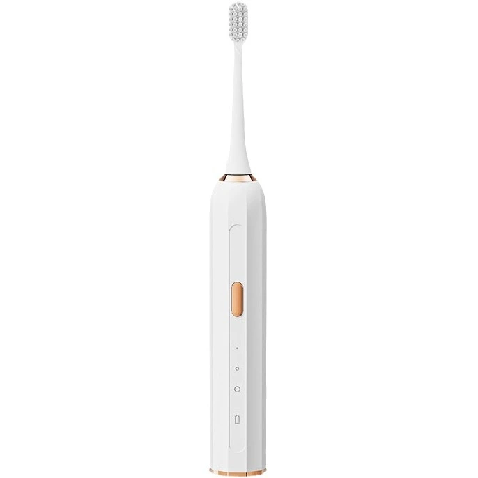Electric Toothbrush R-D33 — Oral Care OEM & ODM manufacturer