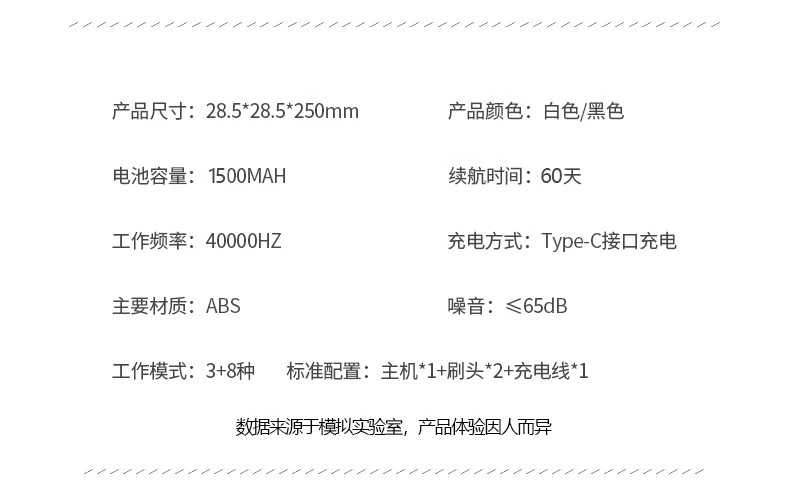 Electric Toothbrush R-C31 — Oral Care OEM & ODM manufacturer