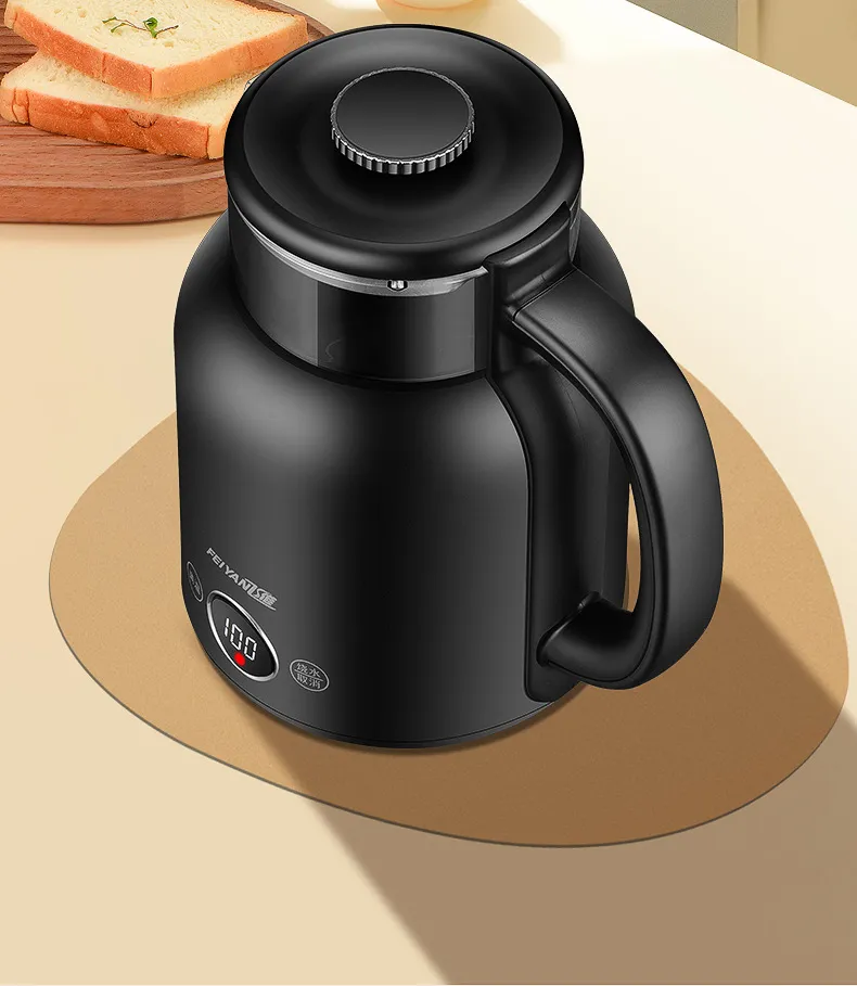 Electric Kettle FY-666 — Kitchen Appliances OEM & ODM manufacturer