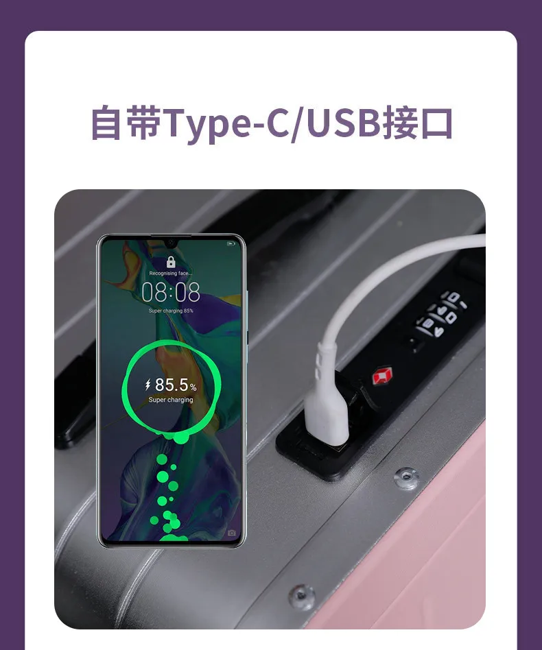 Electric Luggage — Other Appliances OEM & ODM manufacturer