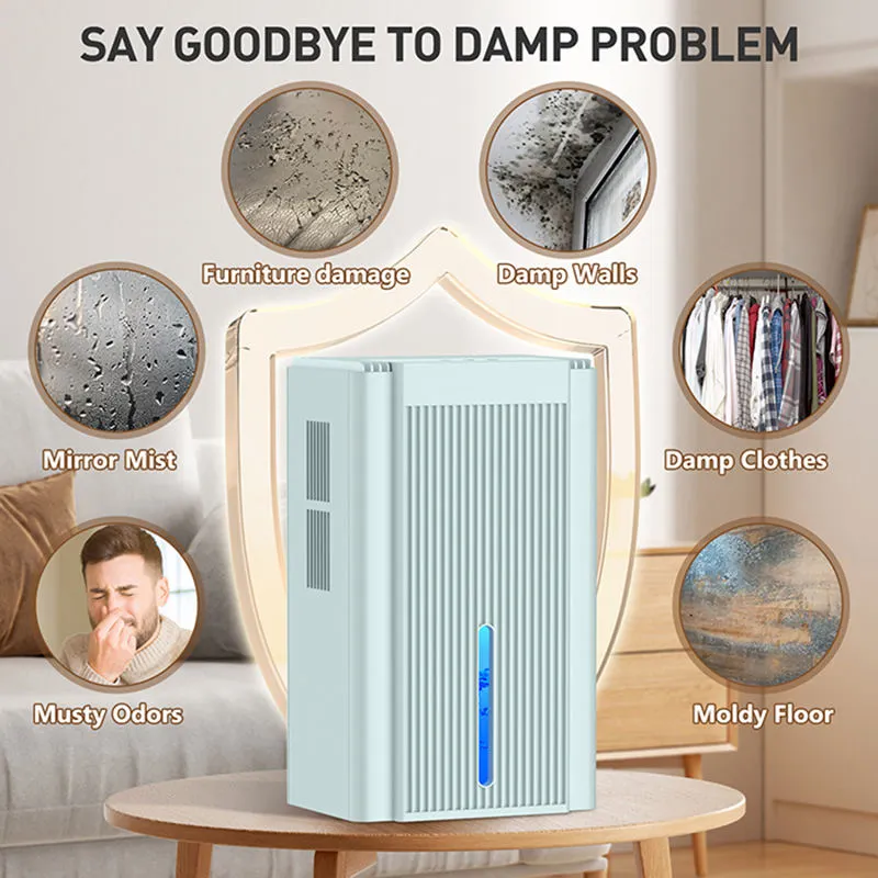 Dehumidifier CT11 — Environmental Appliances OEM & ODM manufacturer