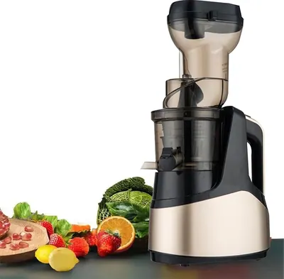 Wide-Feed Slow Juicer JE-B03 — Kitchen Appliances product photo 7 of 12, OEM and private label supply