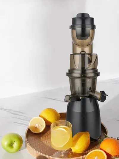Wide-Feed Slow Juicer JE-B11 — Kitchen Appliances product photo 2 of 10, OEM and private label supply