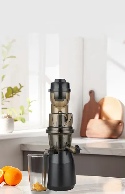 Wide-Feed Slow Juicer JE-B11 — Kitchen Appliances product photo 4 of 10, OEM and private label supply
