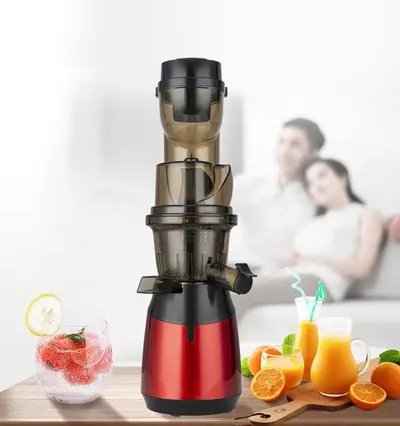 Wide-Feed Slow Juicer JE-B11 — Kitchen Appliances product photo 5 of 10, OEM and private label supply