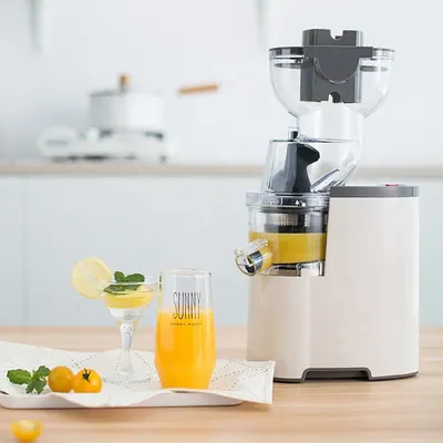 Wide-Feed Slow Juicer BJ-V10 — Kitchen Appliances product photo 5 of 6, OEM and private label supply