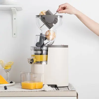 Wide-Feed Slow Juicer BJ-V10 — Kitchen Appliances product photo 6 of 6, OEM and private label supply