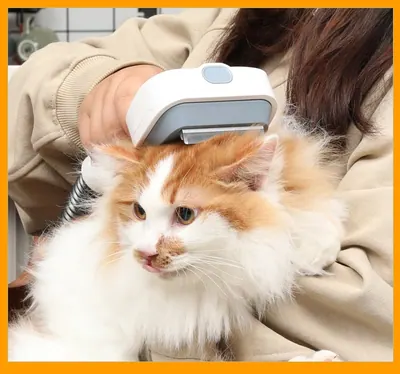 Pet Appliances manufacturer — 22 models for OEM and private label
