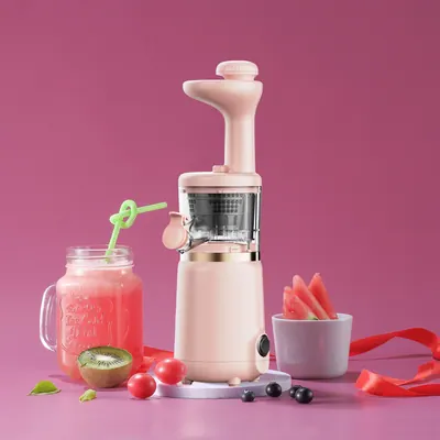 Small-Feed Slow Juicer — Kitchen Appliances product photo 10 of 11, OEM and private label supply
