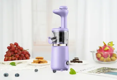 Small-Feed Slow Juicer — Kitchen Appliances product photo 11 of 11, OEM and private label supply