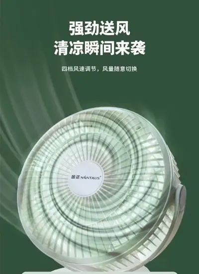 Desktop Fan ZWN-123 — Environmental Appliances product photo 4 of 11, OEM and private label supply