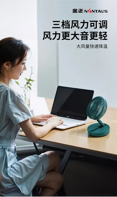 Desktop Fan ZWN-128 — Environmental Appliances product photo 4 of 12, OEM and private label supply