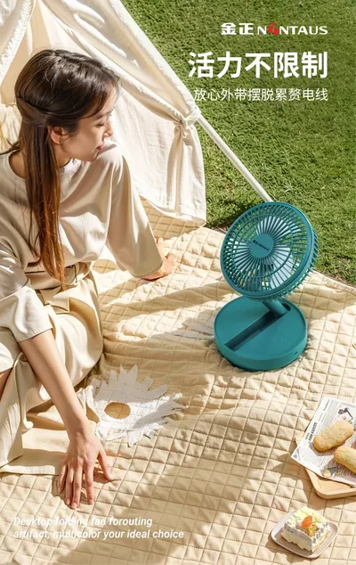 Desktop Fan ZWN-128 — Environmental Appliances product photo 8 of 12, OEM and private label supply