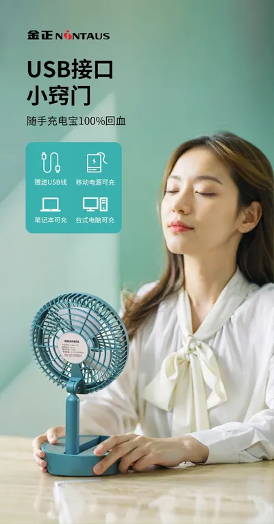 Desktop Fan ZWN-128 — Environmental Appliances product photo 9 of 12, OEM and private label supply