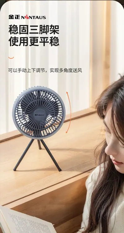 Desktop Fan ZWN-129 — Environmental Appliances product photo 11 of 12, OEM and private label supply