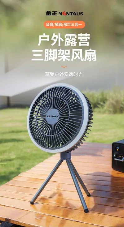 Desktop Fan ZWN-129 — Environmental Appliances product photo 2 of 12, OEM and private label supply