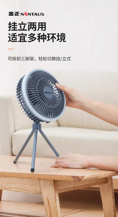 Desktop Fan ZWN-129 — Environmental Appliances product photo 4 of 12, OEM and private label supply