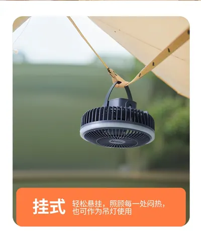 Desktop Fan ZWN-129 — Environmental Appliances product photo 6 of 12, OEM and private label supply