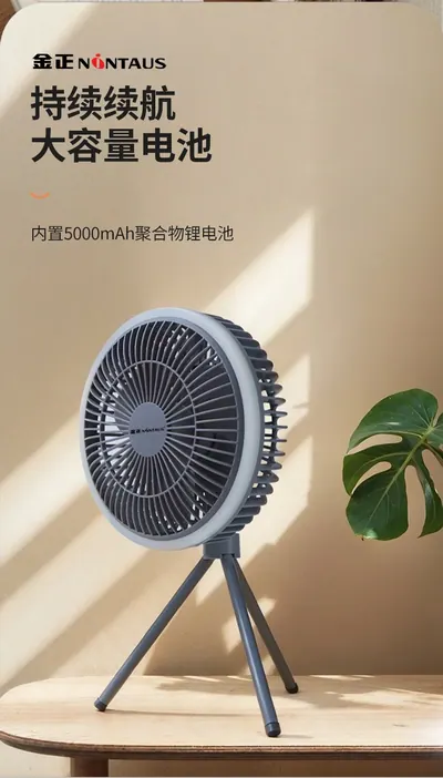 Desktop Fan ZWN-129 — Environmental Appliances product photo 7 of 12, OEM and private label supply