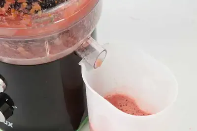Juicer PC725 — Kitchen Appliances for OEM orders