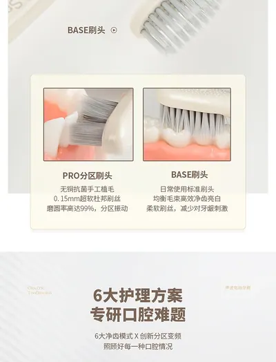 Electric Toothbrush R-D31 — Oral Care product photo 11 of 12, OEM and private label supply