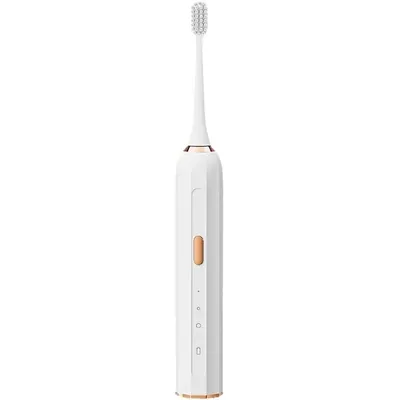 Electric Toothbrush R-D33 — Oral Care supplier for OEM and private label