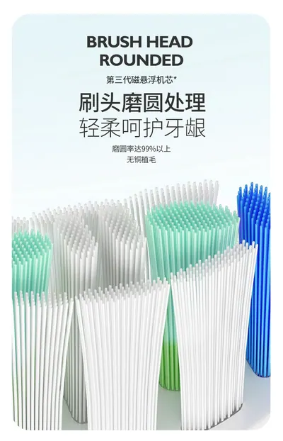 Electric Toothbrush R-C31 — Oral Care product photo 10 of 12, OEM and private label supply
