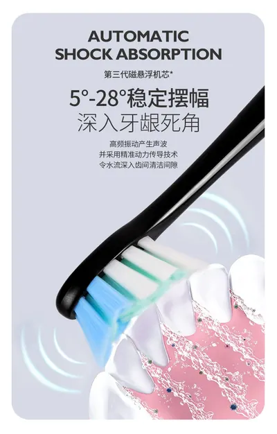 Electric Toothbrush R-C31 — Oral Care product photo 12 of 12, OEM and private label supply