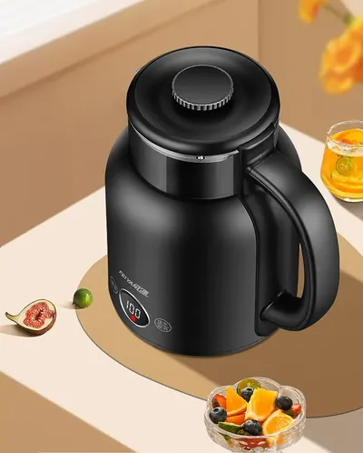 Electric Kettle FY-666 — Kitchen Appliances for OEM orders