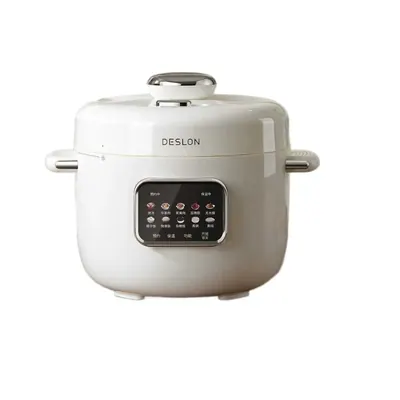 Electric Pressure Cooker FM-YL01 — Kitchen Appliances for OEM orders