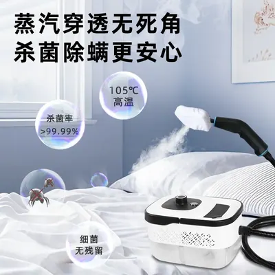 Steam Cleaner C1 — Cleaning Appliances product photo 5 of 12, OEM and private label supply
