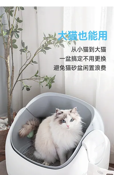 Cat Litter Box Mini-C-1 — Pet Appliances product photo 11 of 12, OEM and private label supply
