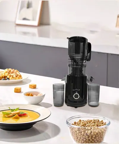 Wide-Feed Slow Juicer SJ300T — Kitchen Appliances product photo 4 of 4, OEM and private label supply