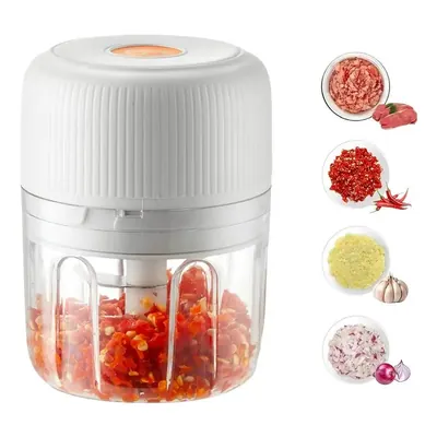 Garlic Chopper FP106B — Kitchen Appliances product photo 2 of 5, OEM and private label supply