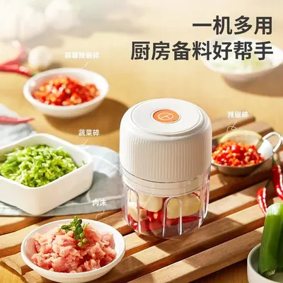 Garlic Chopper FP106B — Kitchen Appliances product photo 5 of 5, OEM and private label supply