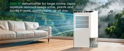 Dehumidifier CS10 — Environmental Appliances product photo 3 of 8, OEM and private label supply