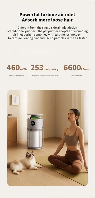 Air Purifier CKJ-2515 — Environmental Appliances product photo 4 of 12, OEM and private label supply