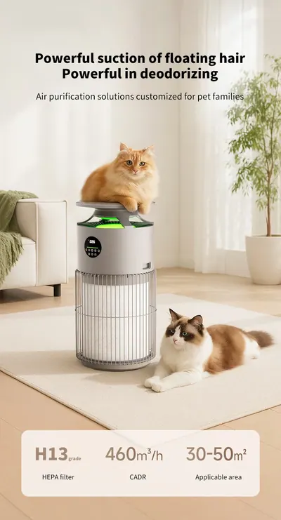 Air Purifier CKJ-2515 — Environmental Appliances product photo 5 of 12, OEM and private label supply