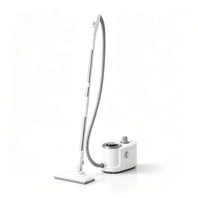 Multifunctional Steam Cleaner QL-QX202 — Cleaning Appliances for OEM orders