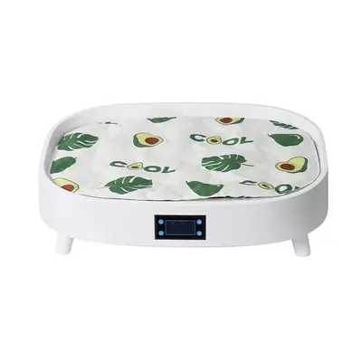 Smart Cooling & Heating — Pet Appliances for OEM orders
